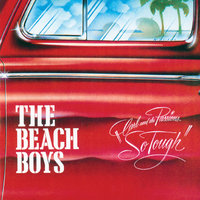 Hold On, Dear Brother - The Beach Boys