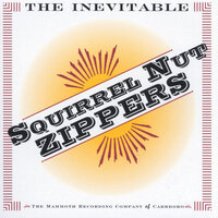 Wished For You - Squirrel Nut Zippers