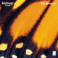 Moments - Kidnap, Leo Stannard, Ben Böhmer