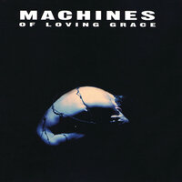 Acceleration - Machines Of Loving Grace