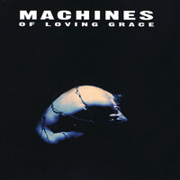 Cheap - Machines Of Loving Grace