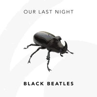 Black Beatles - Our Last Night