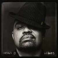 Private Dancer - Heavy D