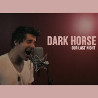 Dark Horse - Our Last Night