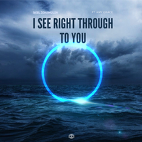 I See Right Through To You - Axel Johansson, Amy Grace