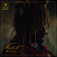 It Is What It Is - Thundercat, Pedro Martins