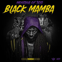 Black Mamba - Montana of 300