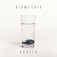 Assets - Biometrix