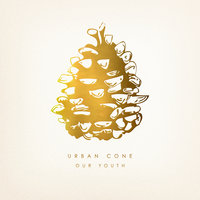 Winter's Calling - Urban Cone