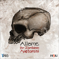 Manifesto ( feat. Hayki ) - Allame, Hayki