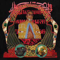 Reg Walks By The Looking Glass - Shabazz Palaces