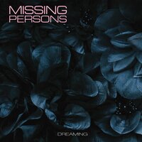 Playing with Fire - Missing Persons