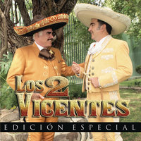 Qué Bonito Amor - Vicente Fernandez