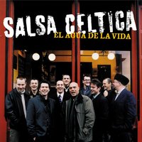 Maestro - Salsa Celtica