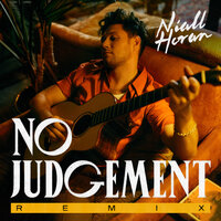 No Judgement - Niall Horan, Steve Void