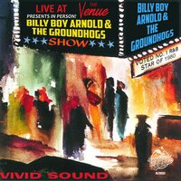 Trust My Baby - Billy Boy Arnold, The Groundhogs