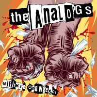 Nie obchodzi mnie - The Analogs