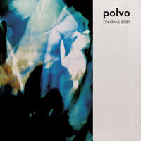 The Curtain Remembers - Polvo