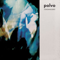 Channel Changer - Polvo