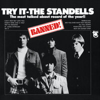 Did You Ever Have That Feeling - The Standells