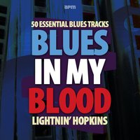 I Wonder - Lighnin' Hopkins