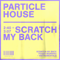 Scratch My Back - Particle House, Divty