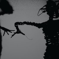 She Was Stolen - The Twilight Singers