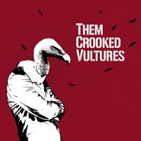 Spinning In Daffodils - Them Crooked Vultures