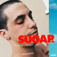 SUGAR - BROCKHAMPTON, Dua Lipa