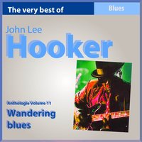 Cat Fish - John Lee Hooker