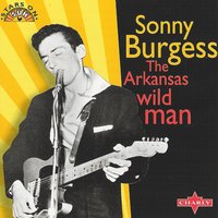 We Wanna Boogie - Sonny Burgess