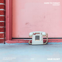 Hard To Forget - Sam Hunt