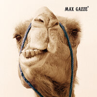 Del Tutto Personale - Max Gazzè