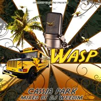 Intro - DJ Weedim, Wasp