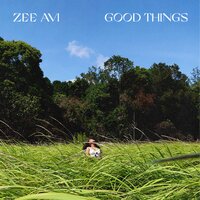 Good Things - Zee Avi