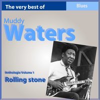 I Be 's Troubled - Muddy Waters