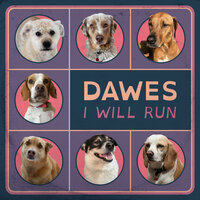 I Will Run - Dawes