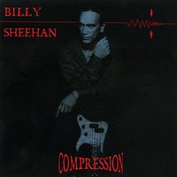 Chameleon - Billy Sheehan