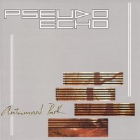 Stranger In Me - Pseudo Echo