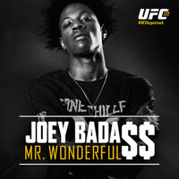 Mr. Wonderful - Joey Bada$$