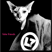 Fake Friends - L7, Joan Jett