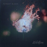 Wildfire - Forest Blakk