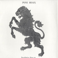 Involutive Star - Poni Hoax, Joakim
