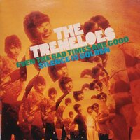 Too Many Fish In The Sea - The Tremeloes
