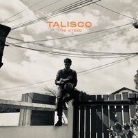 The Steed - Talisco