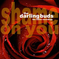 Shame On You - The Darling Buds