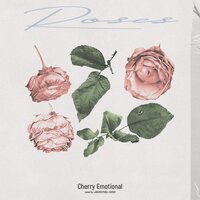 Roses - Cherry Emotional