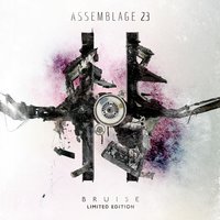 Crosstalk - Assemblage 23