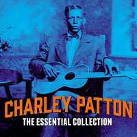 Shake It Break It (But Don't Let It Fall, Ma) - Charlie Patton