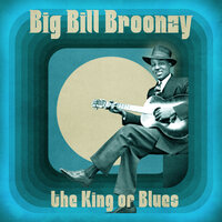 Black, Brown and White - Big Bill Broonzy